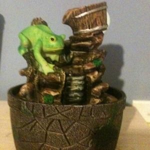 I'm selling a waterfall frog