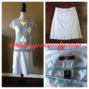 Adorable heather gray lined skirt w/side zip