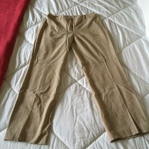 Ann Taylor Loft dress pants