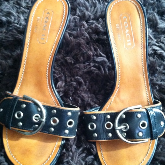 Coach mule slides
