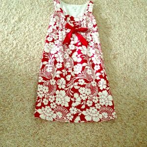 Ann Taylor LOFT Spring Dress