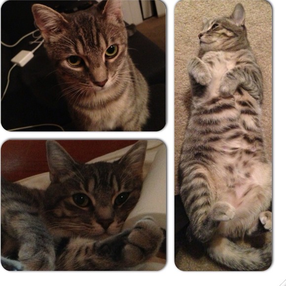 🎀Feedback-See "About" page for reviews!🎀 - Picture 2 of 2