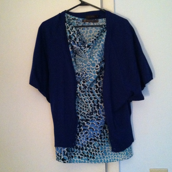 Sold Sweater in blue The Limited