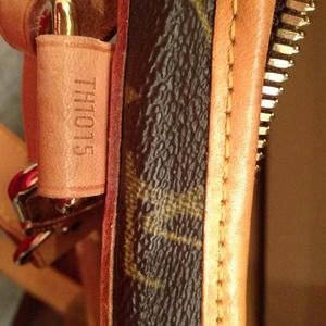 Louis Vuitton pet carrier