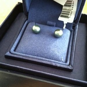 Tahitian pearl earrings, new in box, never worn