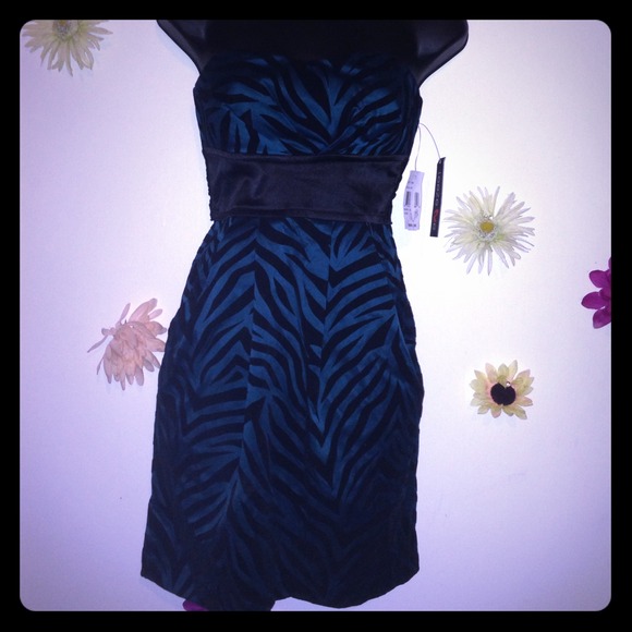 Teeze Me teal zebra pocket tube dress small 3