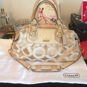 Coach Ashley Satchel