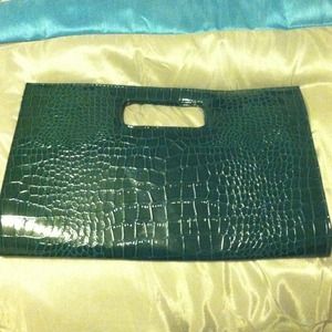 Snake skin clutch