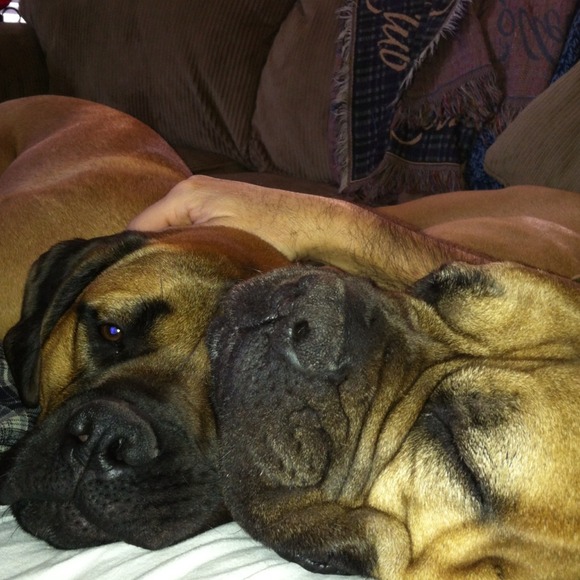 Phoebe & Jamine