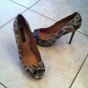 Ann Taylor Shoes