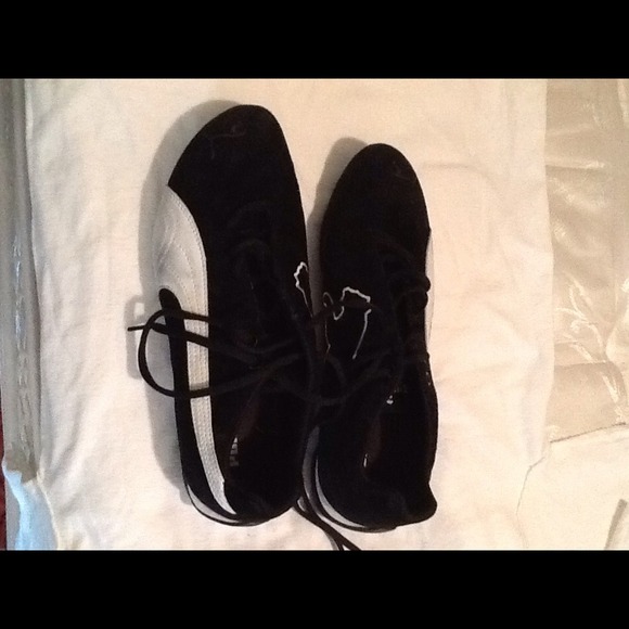 Black and white puma