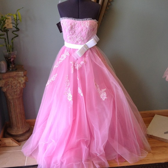 Alyce Design Pink Princess Dress