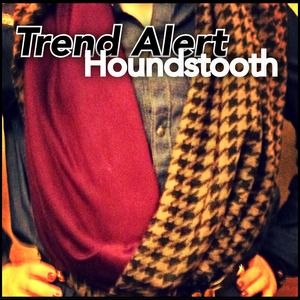 CLOSING SALE Chan Luu 2-Way Infinity Scarf