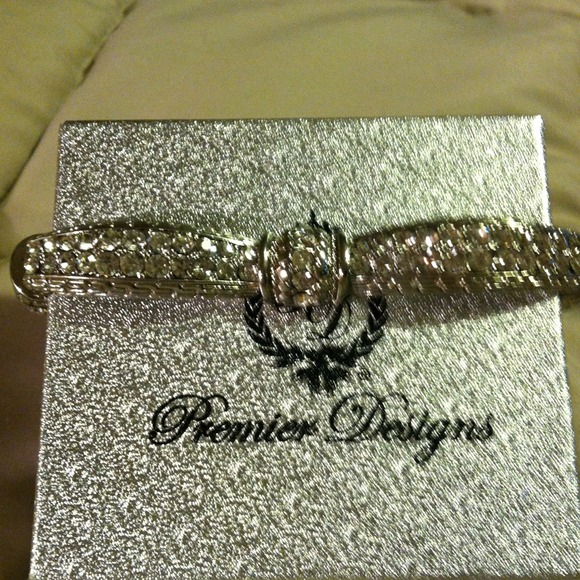 Premier Designs Jewelry - Silver sparkle and design Premier design bracelet