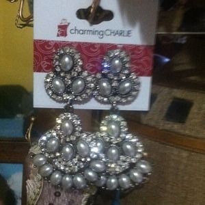 Charming Charlie earrings:)