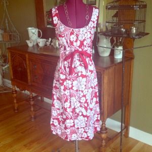 Cute Loft Summer Dress