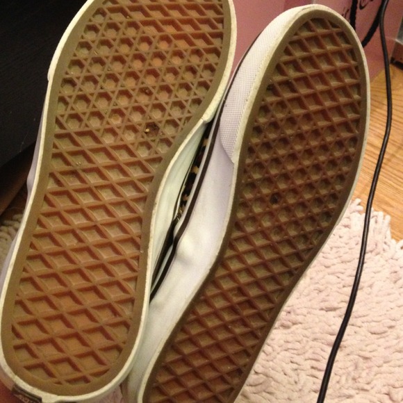 Cheetah Vans - Picture 3 of 4