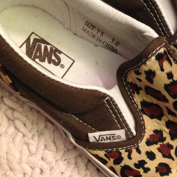 Cheetah Vans - Picture 4 of 4