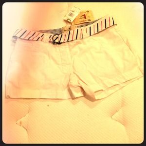 Canterbury of New Zealand White Shorts