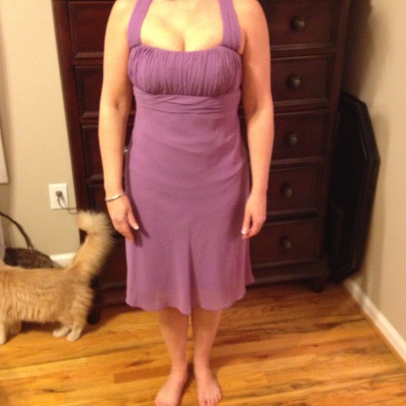 Never worn size 6. Wisteria