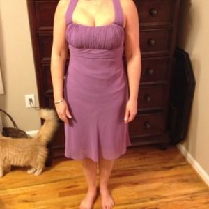 Never worn size 6. Wisteria