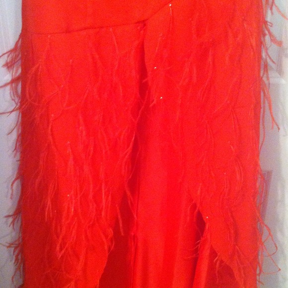 Red dress with feathers - Picture 3 of 4