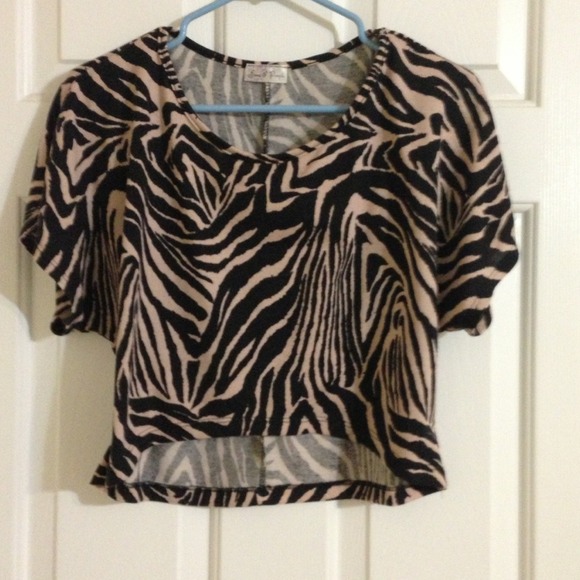 Zebra print mid-drift.