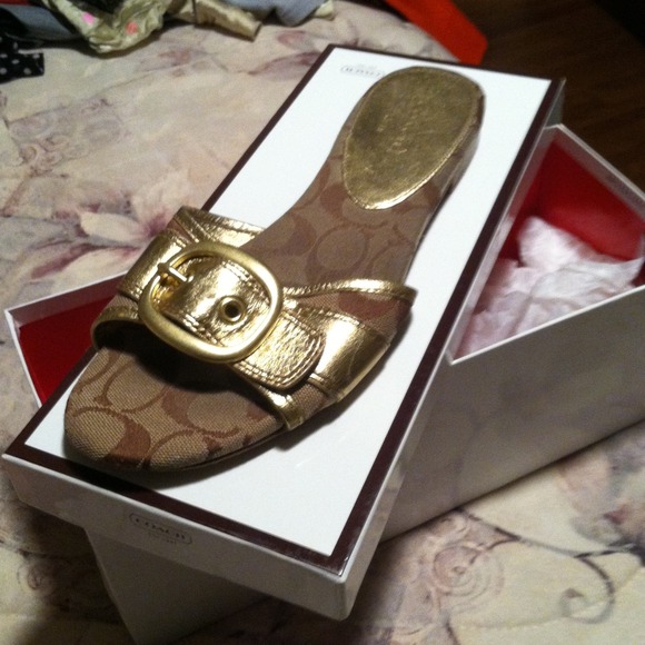 Coach sandal