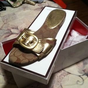 Coach sandal