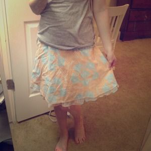 Ladylike pink and blue skirt