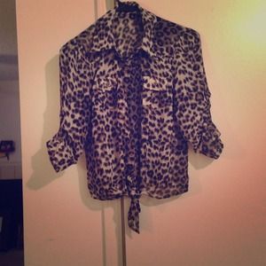 Zebra Sheer Shirt
