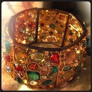 Beautiful jewel in crested bracelet