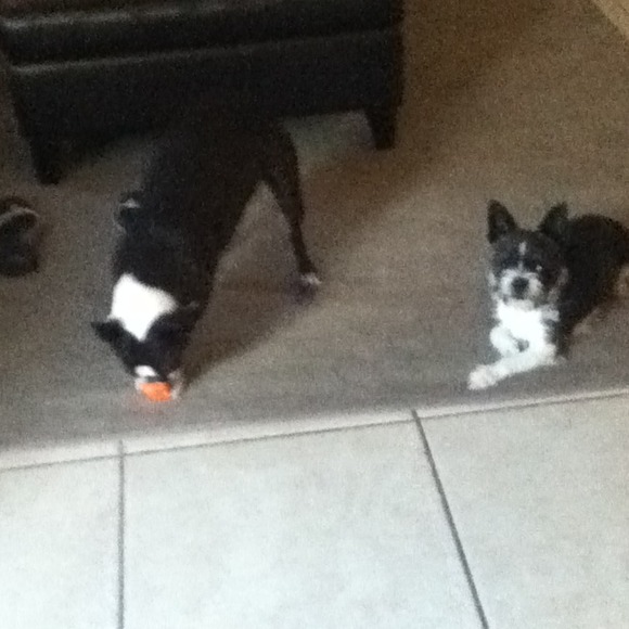 Cutte - Picture 2 of 4