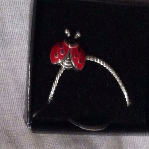 Lady bug necklace - Picture 1 of 1