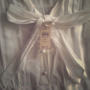 Ann Taylor LOFT Secretary Dress