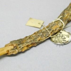 Flavored chewing stick