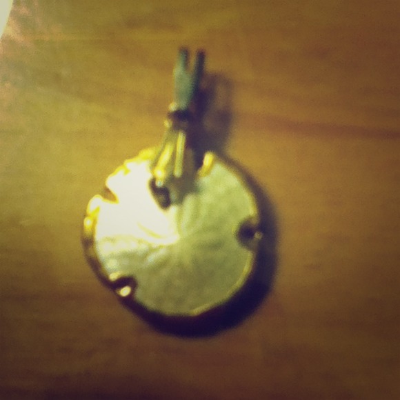 ❌Sold ❌San dollar necklace pendant