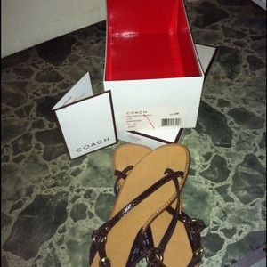 Coach sandal chocolate brown
