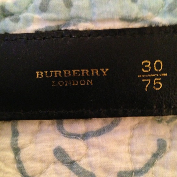 Belt - Picture 3 of 4