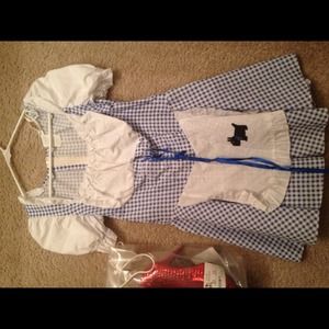 Sexy Dorothy costume worn twice
