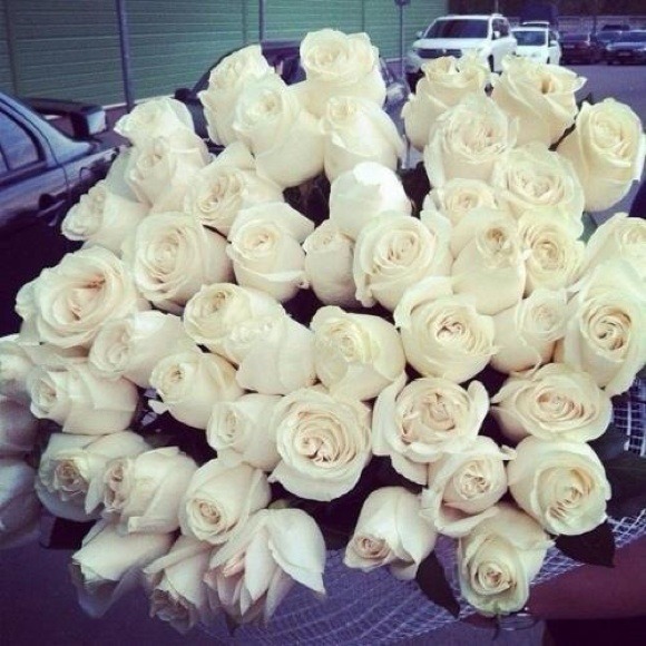 Bundle