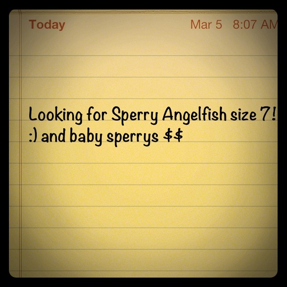Sperry