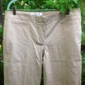 NWOT, never-worn flat-front khaki pants