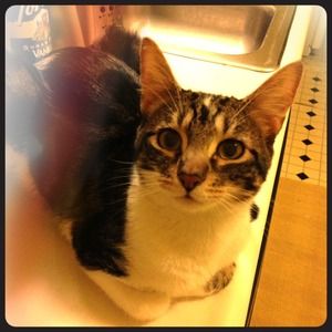 My baby--Ollie!!
