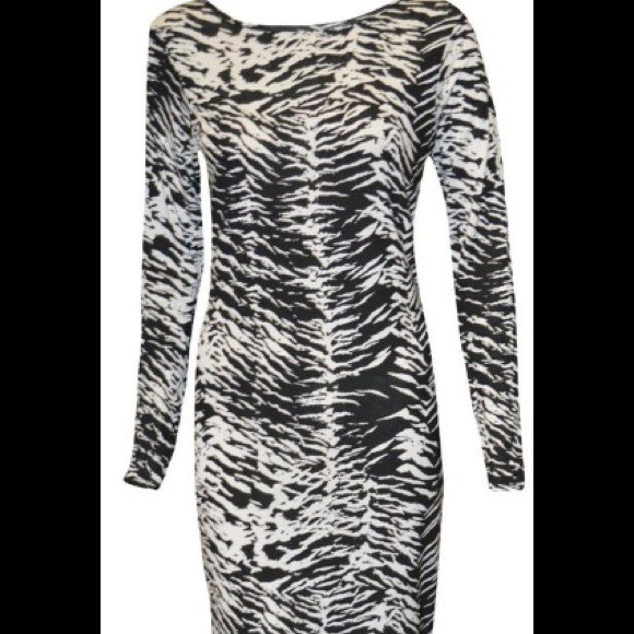 Zebra midi - Picture 2 of 3