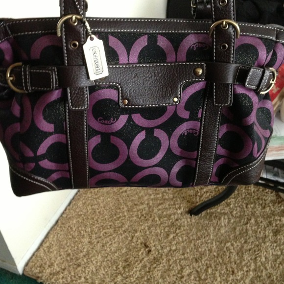 Coach inspired purse