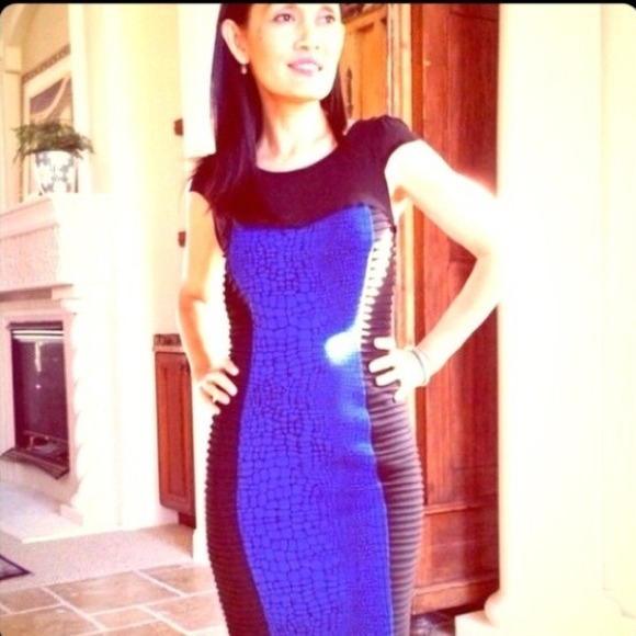 Gorgeous pintucks skin print mesh neckline dress