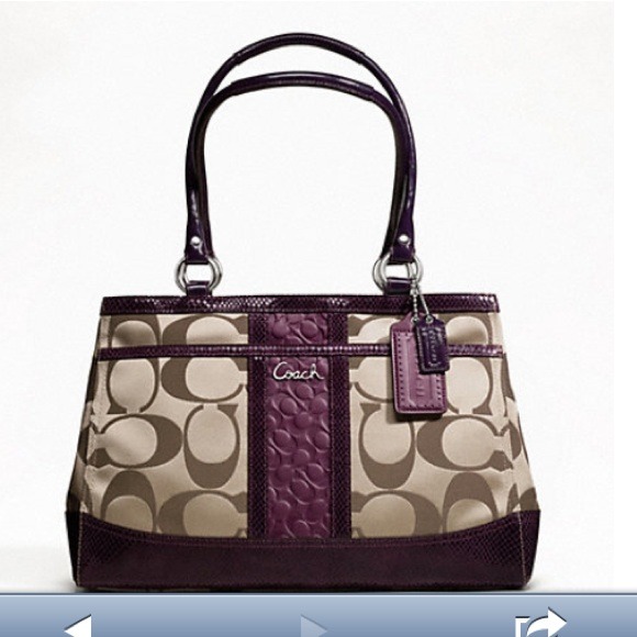 Reserved @courtneyh69 Park sig stripe carryall