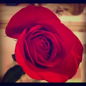 Bundle for @cwabrown00