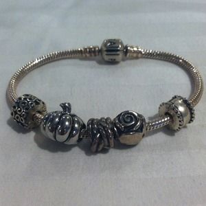 Pandora silver Charms